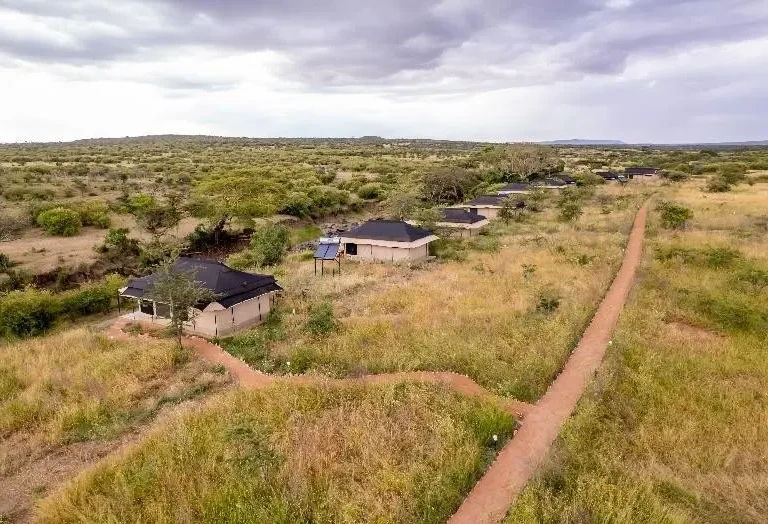 Shiny Discs, Safe Crops: How Mtito Safari Camp Turns Old CDs into Eco-Friendly Garden Guardians