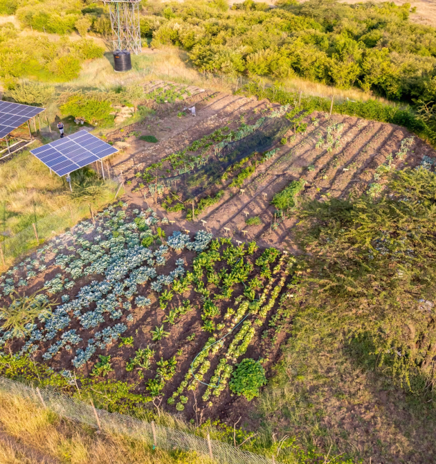DJI_0454
