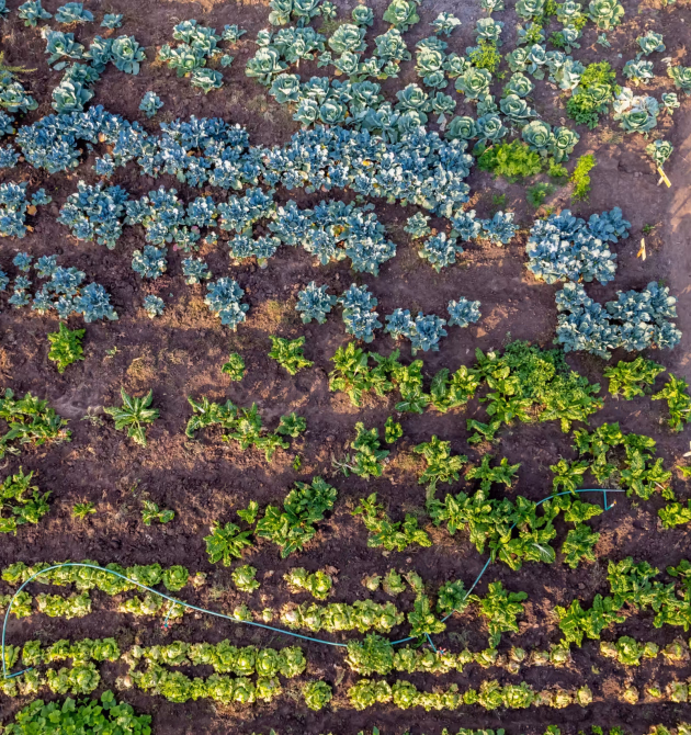DJI_0457